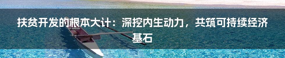 扶贫开发的根本大计:深挖内生动力,共筑可持续经济基石
