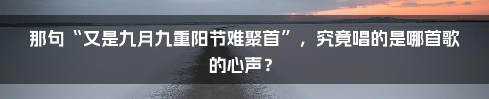 那句“又是九月九重阳节难聚首”,究竟唱的是哪首歌的心声?