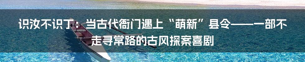 识汝不识丁：当古代衙门遇上“萌新”县令——一部不走寻常路的古风探案喜剧
