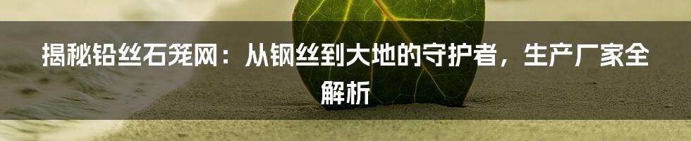 揭秘铅丝石笼网：从钢丝到大地的守护者，生产厂家全解析