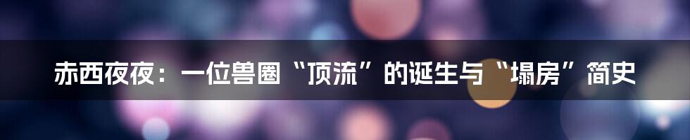 赤西夜夜：一位兽圈“顶流”的诞生与“塌房”简史