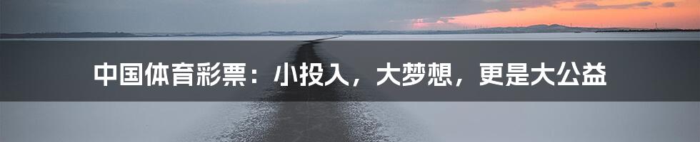 中国体育彩票：小投入，大梦想，更是大公益