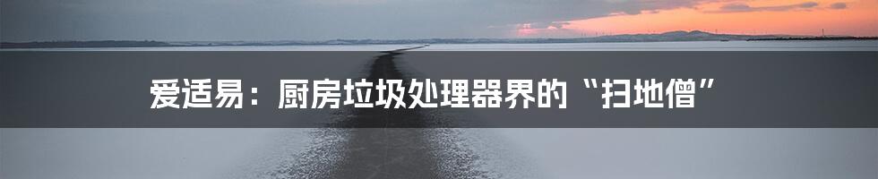爱适易:厨房垃圾处理器界的“扫地僧”