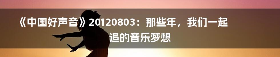 《中国好声音》20120803:那些年,我们一起追的音乐梦想