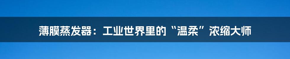薄膜蒸发器:工业世界里的“温柔”浓缩大师