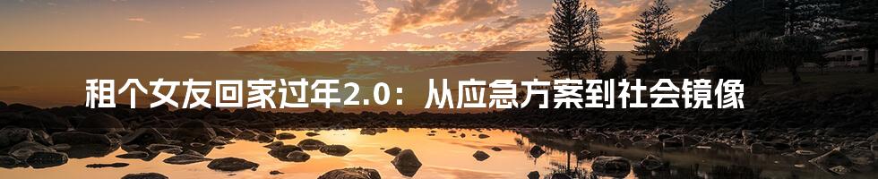 租个女友回家过年2.0：从应急方案到社会镜像
