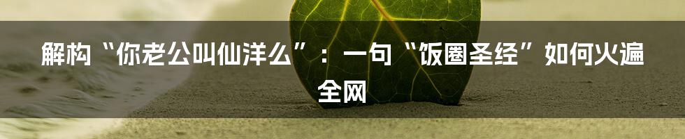 解构“你老公叫仙洋么”：一句“饭圈圣经”如何火遍全网