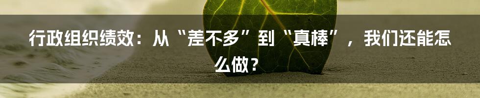 行政组织绩效:从“差不多”到“真棒”,我们还能怎么做?