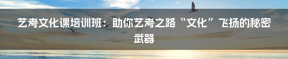 艺考文化课培训班：助你艺考之路“文化”飞扬的秘密武器