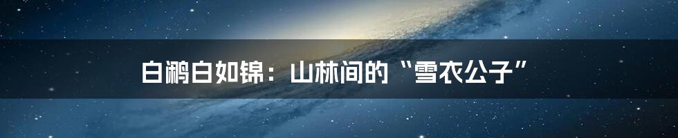 白鹇白如锦：山林间的“雪衣公子”