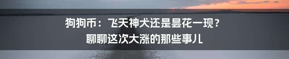 狗狗币:飞天神犬还是昙花一现? 聊聊这次大涨的那些事儿