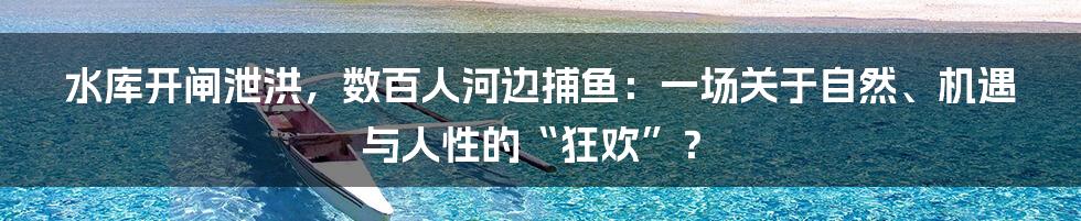 水库开闸泄洪，数百人河边捕鱼：一场关于自然、机遇与人性的“狂欢”？
