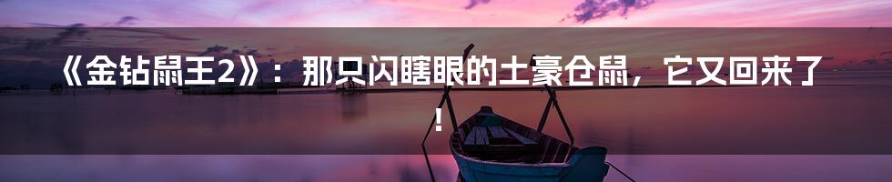 《金钻鼠王2》：那只闪瞎眼的土豪仓鼠，它又回来了！