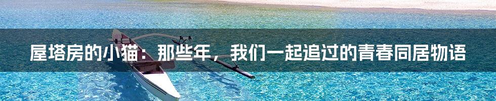 屋塔房的小猫：那些年，我们一起追过的青春同居物语