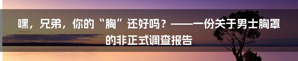 嘿,兄弟,你的“胸”还好吗?——一份关于男士胸罩的非正式调查报告