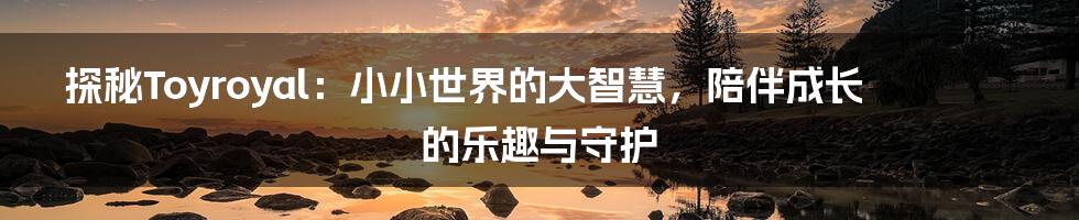 探秘Toyroyal:小小世界的大智慧,陪伴成长的乐趣与守护