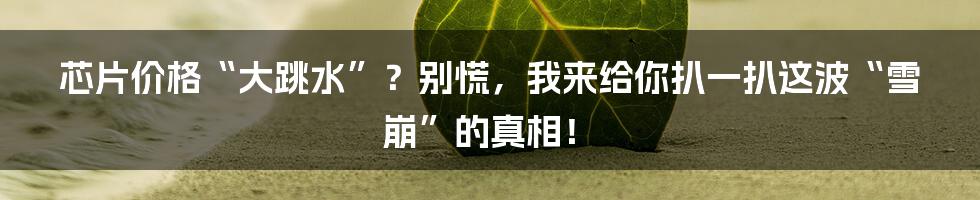 芯片价格“大跳水”?别慌,我来给你扒一扒这波“雪崩”的真相!
