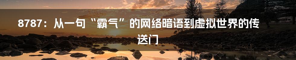 8787:从一句“霸气”的网络暗语到虚拟世界的传送门