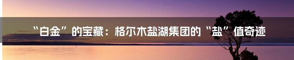 “白金”的宝藏：格尔木盐湖集团的“盐”值奇迹