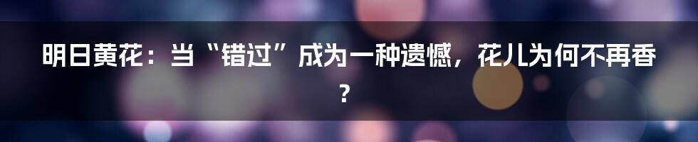 明日黄花:当“错过”成为一种遗憾,花儿为何不再香?