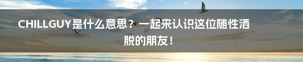 CHILLGUY是什么意思？一起来认识这位随性洒脱的朋友！