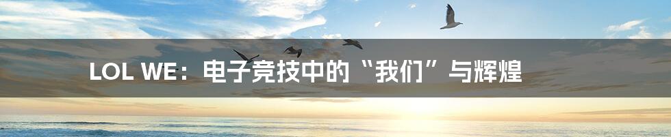 LOL WE：电子竞技中的“我们”与辉煌