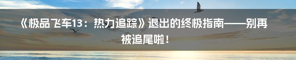 《极品飞车13：热力追踪》退出的终极指南——别再被追尾啦！