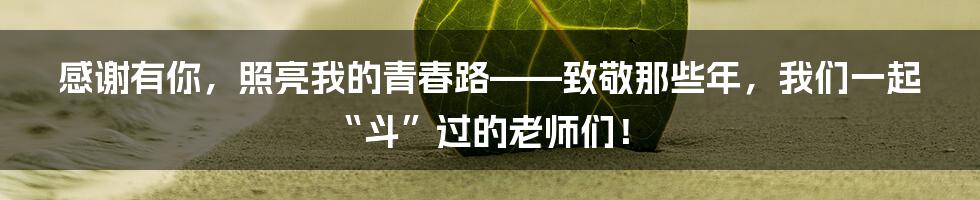 感谢有你，照亮我的青春路——致敬那些年，我们一起“斗”过的老师们！