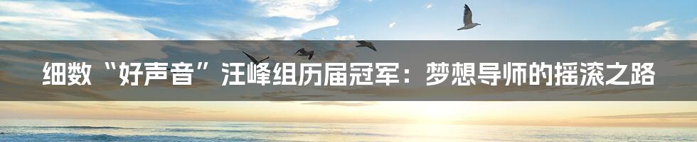 细数“好声音”汪峰组历届冠军:梦想导师的摇滚之路