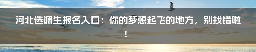 河北选调生报名入口:你的梦想起飞的地方,别找错啦!