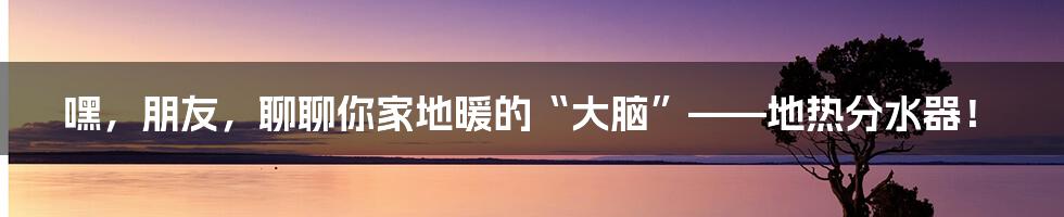 嘿，朋友，聊聊你家地暖的“大脑”——地热分水器！
