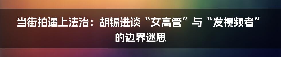 当街拍遇上法治：胡锡进谈“女高管”与“发视频者”的边界迷思
