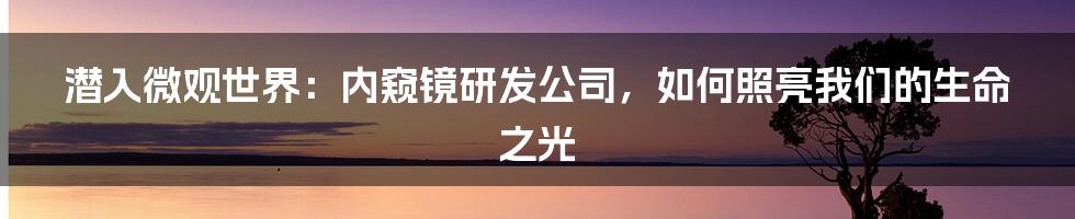 潜入微观世界:内窥镜研发公司,如何照亮我们的生命之光