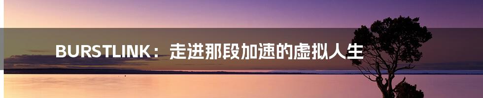 BURSTLINK：走进那段加速的虚拟人生