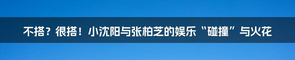 不搭？很搭！小沈阳与张柏芝的娱乐“碰撞”与火花