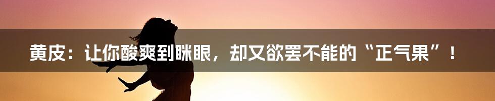 黄皮：让你酸爽到眯眼，却又欲罢不能的“正气果”！