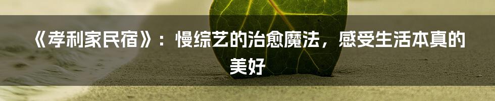 《孝利家民宿》:慢综艺的治愈魔法,感受生活本真的美好