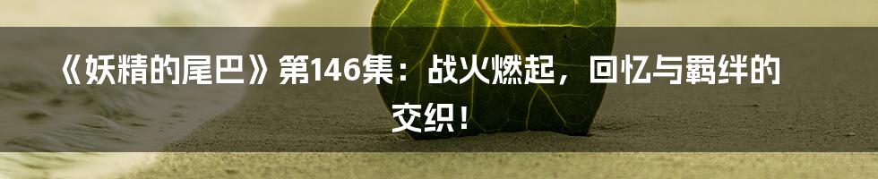 《妖精的尾巴》第146集:战火燃起,回忆与羁绊的交织!