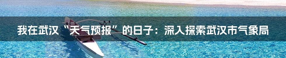 我在武汉“天气预报”的日子：深入探索武汉市气象局