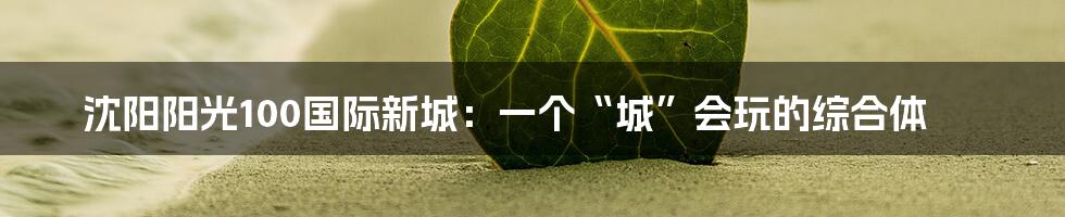 沈阳阳光100国际新城：一个“城”会玩的综合体