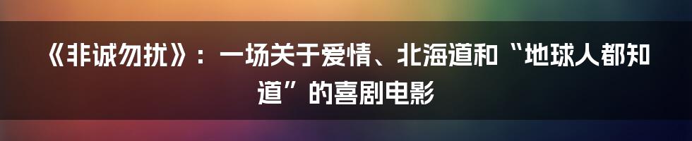 《非诚勿扰》:一场关于爱情、北海道和“地球人都知道”的喜剧电影