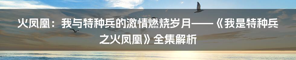 火凤凰:我与特种兵的激情燃烧岁月——《我是特种兵之火凤凰》全集解析