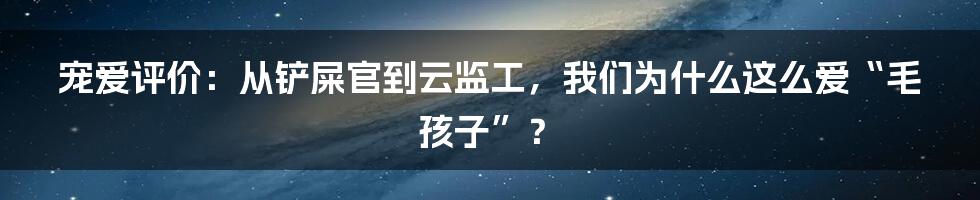 宠爱评价:从铲屎官到云监工,我们为什么这么爱“毛孩子”?