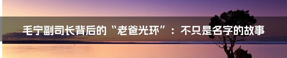 毛宁副司长背后的“老爸光环”:不只是名字的故事