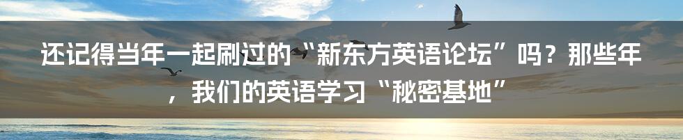 还记得当年一起刷过的“新东方英语论坛”吗？那些年，我们的英语学习“秘密基地”