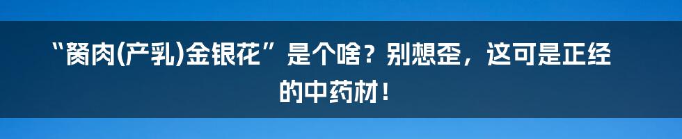 “胬肉(产乳)金银花”是个啥？别想歪，这可是正经的中药材！
