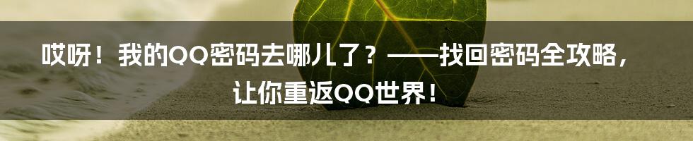 哎呀!我的QQ密码去哪儿了?——找回密码全攻略,让你重返QQ世界!