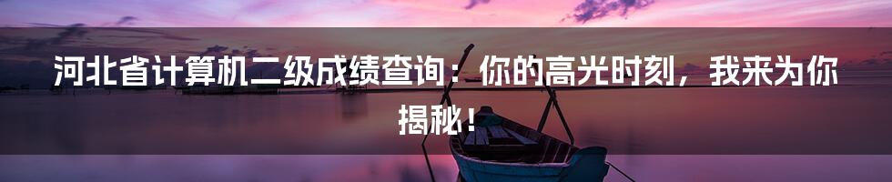 河北省计算机二级成绩查询:你的高光时刻,我来为你揭秘!