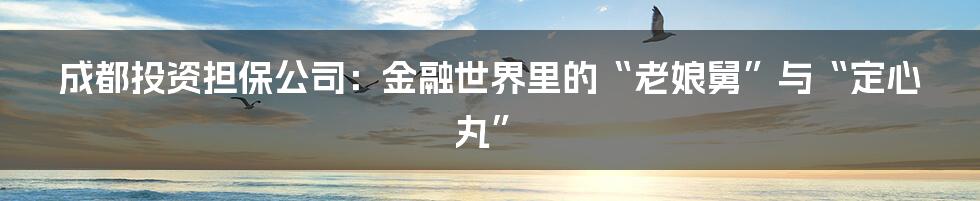 成都投资担保公司:金融世界里的“老娘舅”与“定心丸”
