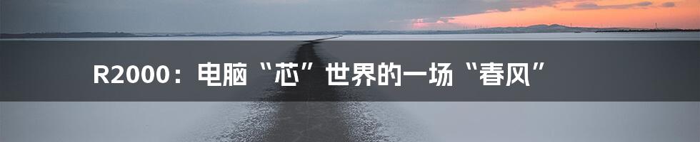 R2000:电脑“芯”世界的一场“春风”
